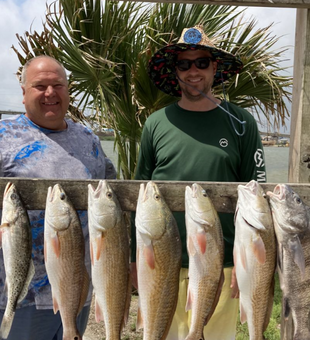 Redfish action all day!